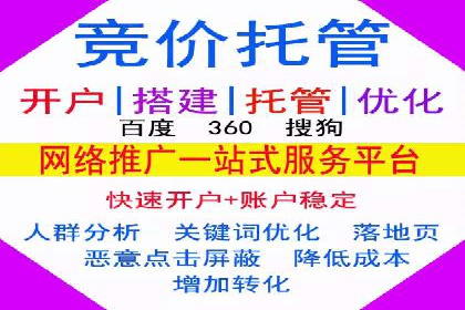 SEM投放策略：成功案例解析